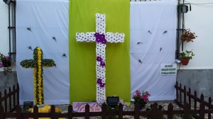 cruz de mayo fnpozo